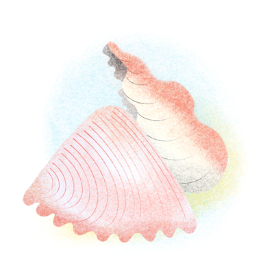 ShellsA