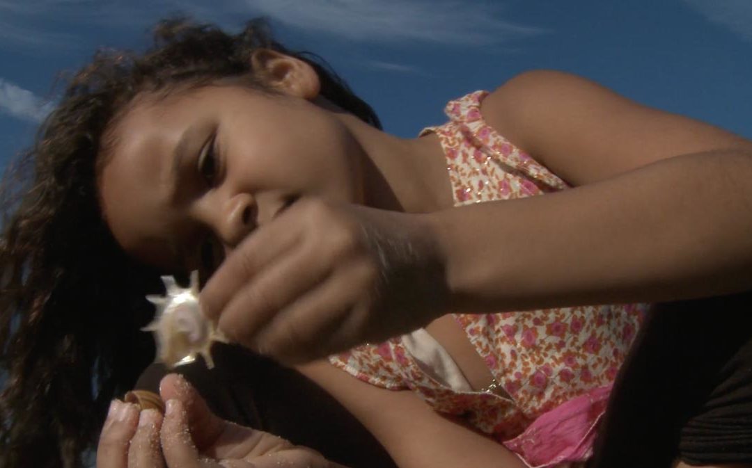 Follow Fiona as she romps over the dunes to explore the seashore!